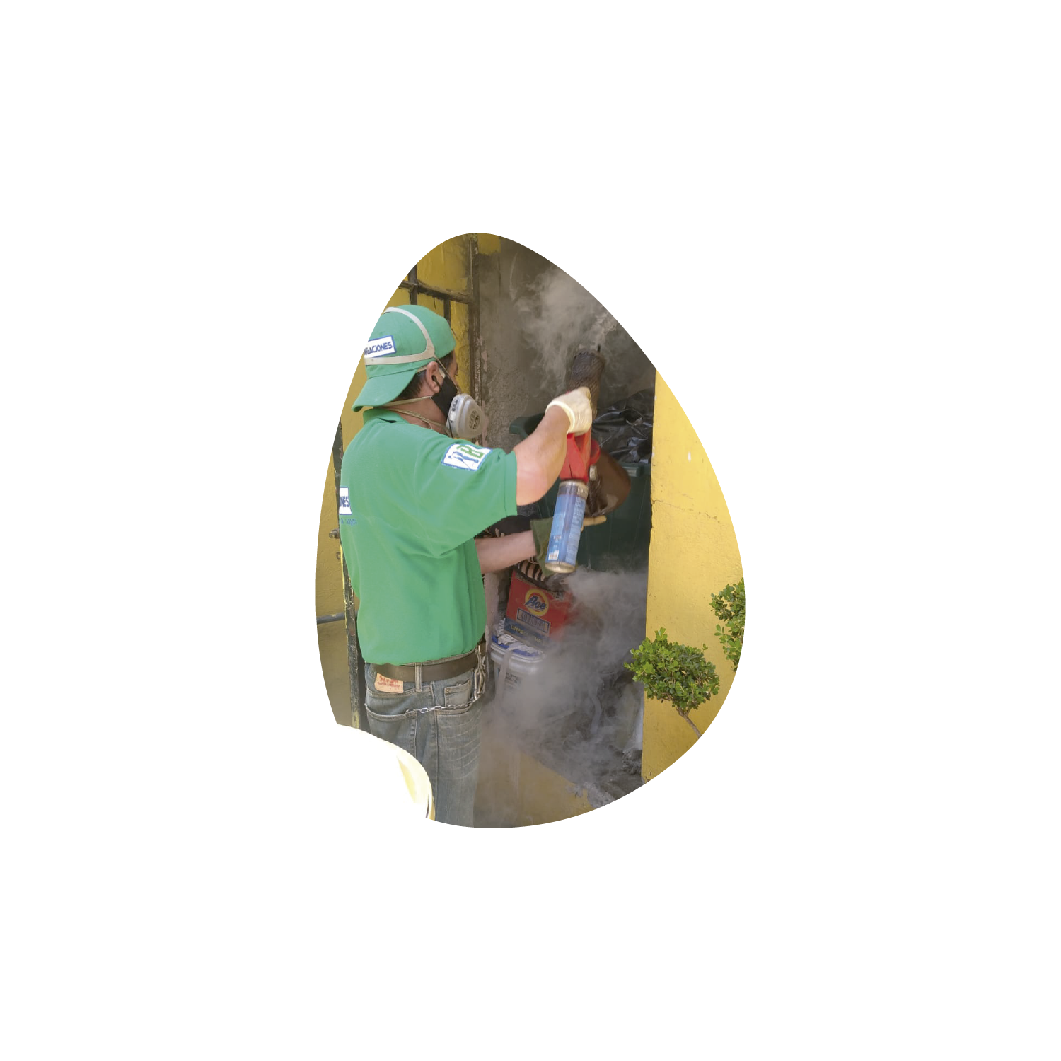 Normatividad AB Fumigaciones