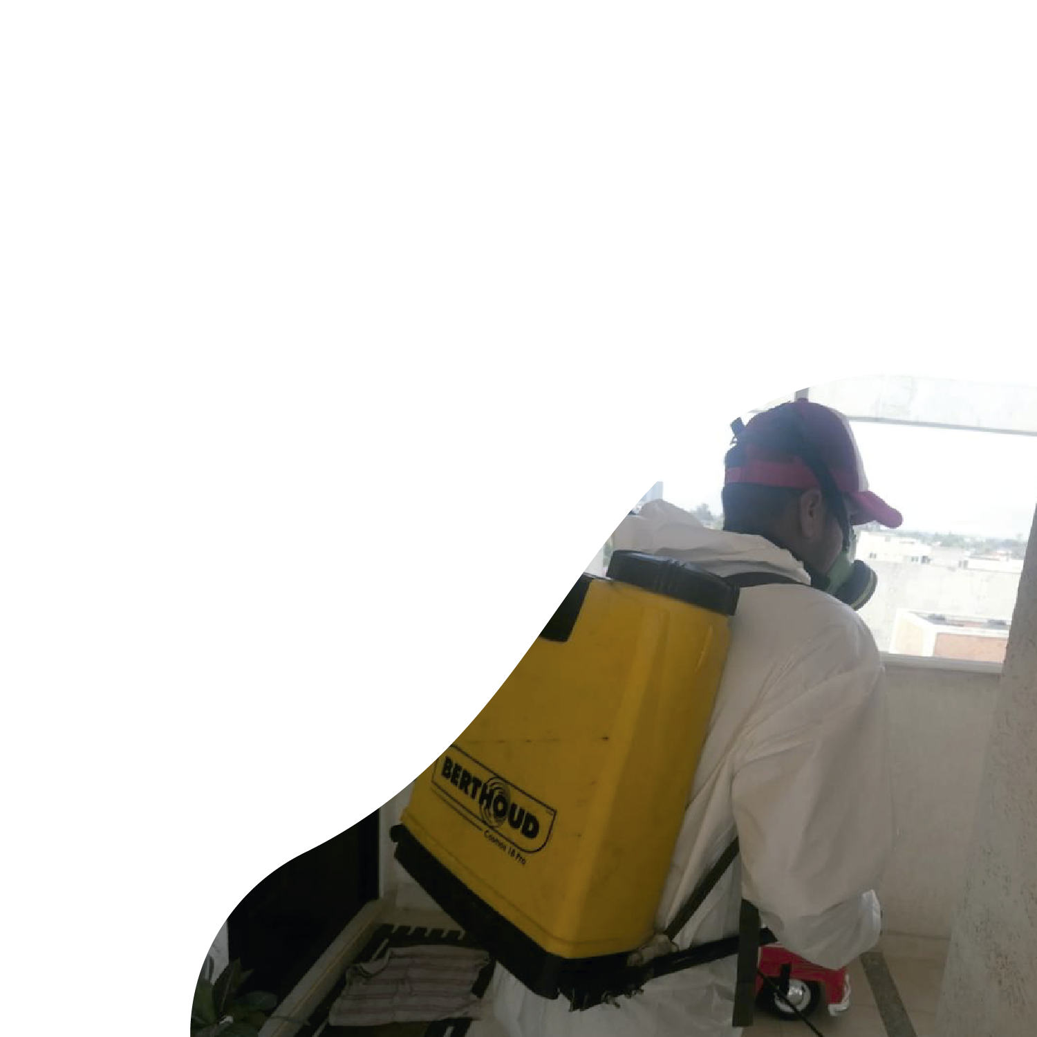 Manejo Integral de Plagas MIP AB Fumigaciones